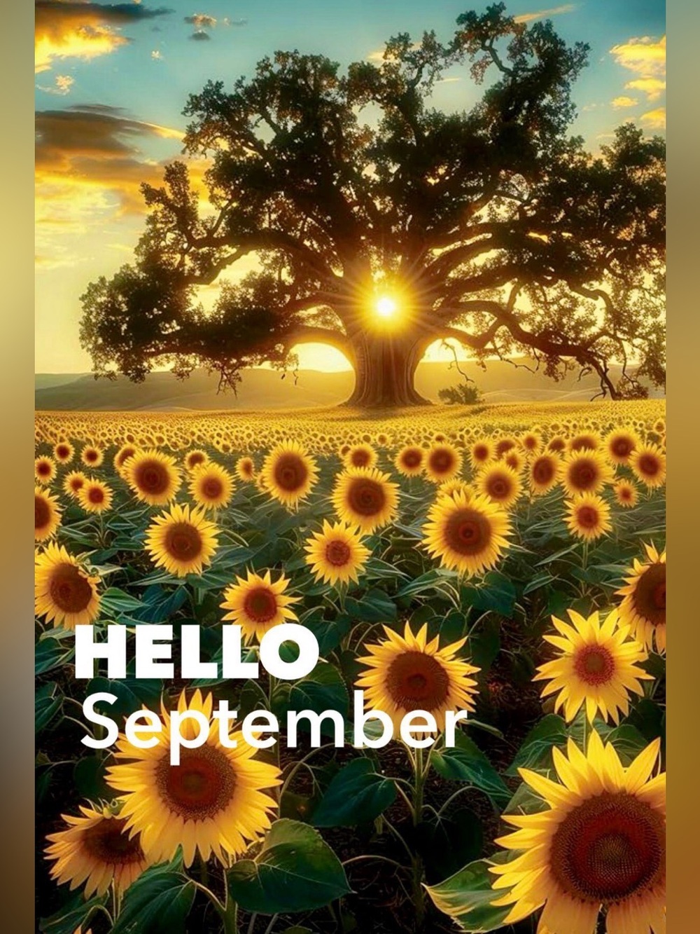 Hello September, Happy Labor Day ❣️ Vacation Notice